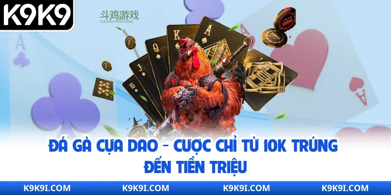 Đá Gà Cựa Dao – Cược Chỉ Từ 10k Trúng Đến Tiền Triệu