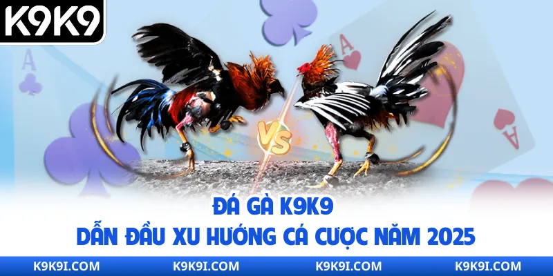 Đá gà K9K9 dẫn đầu xu hướng cá cược năm 2025