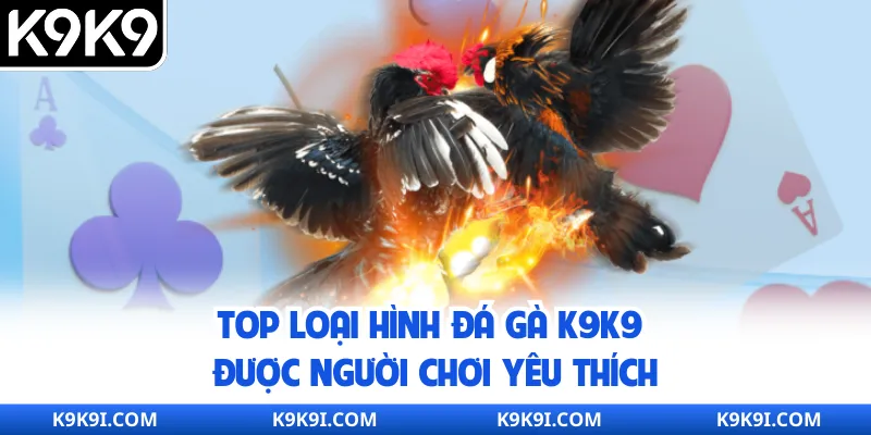 Top loại hình đá gà K9K9 được người chơi yêu thích